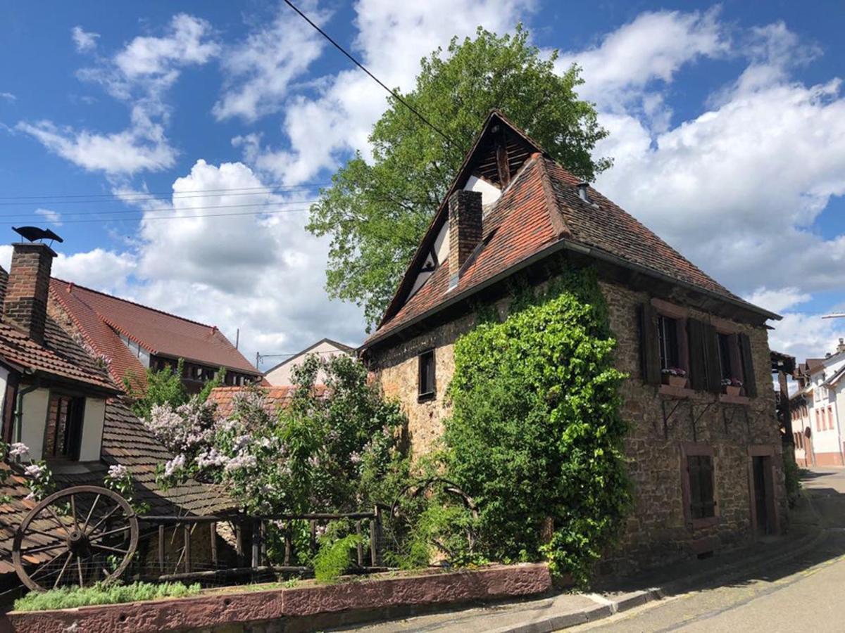 1463 Apartmenthaus Karlsruhe Zewnętrze zdjęcie
